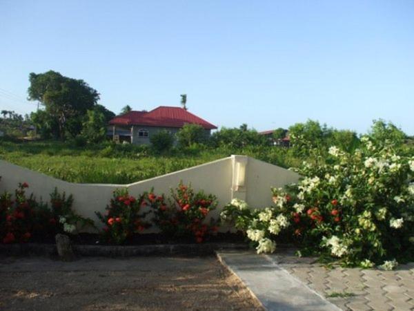 Villa Nickerie/ Suriname Nieuw Nickerie 外观 照片